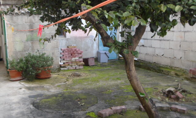 DSC04099 - Copia