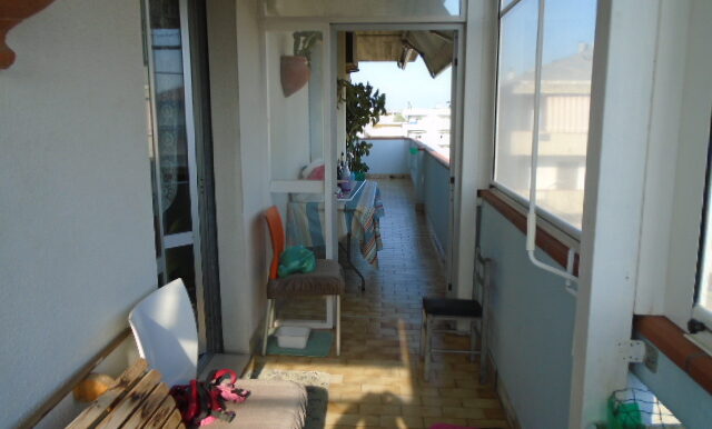 DSC04215