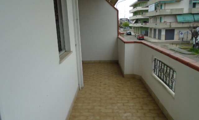 DSC04359