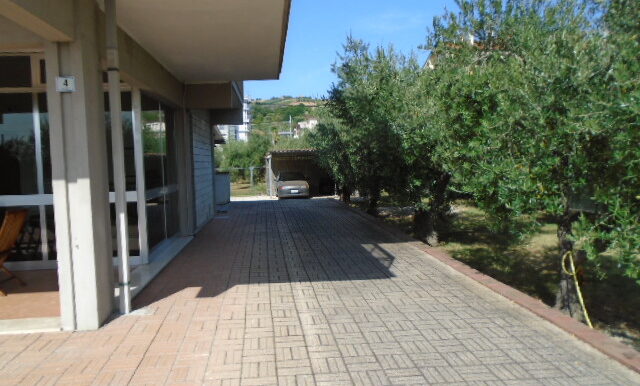 DSC04620