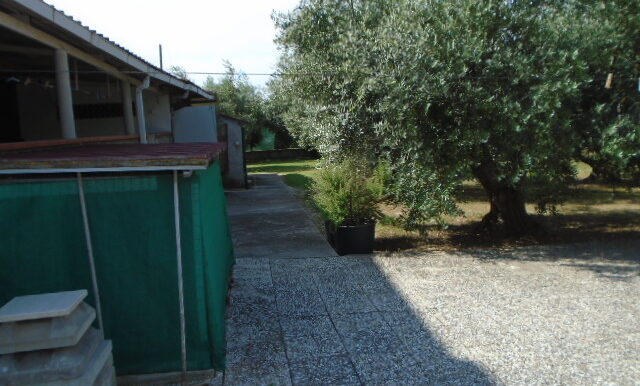DSC04630