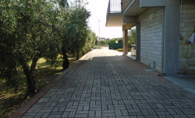 DSC04631