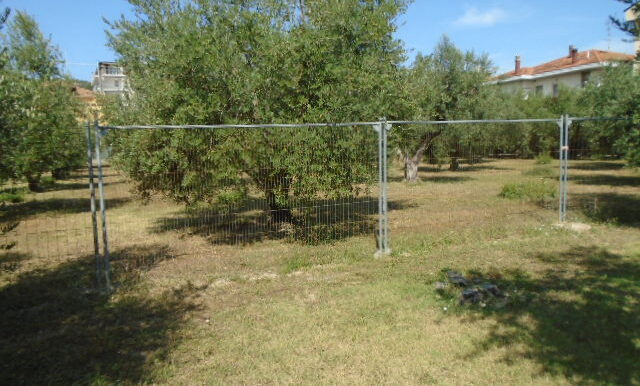 DSC04680