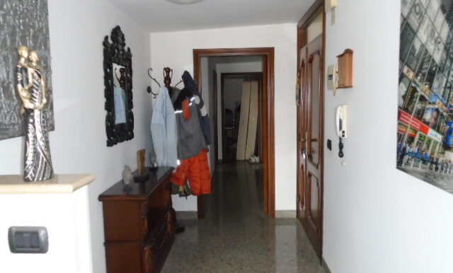 DSC04807
