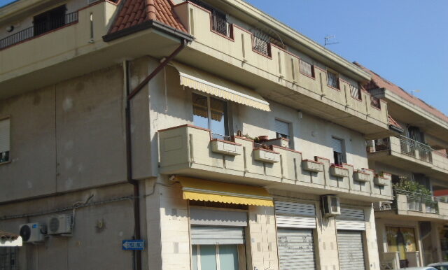 DSC04826