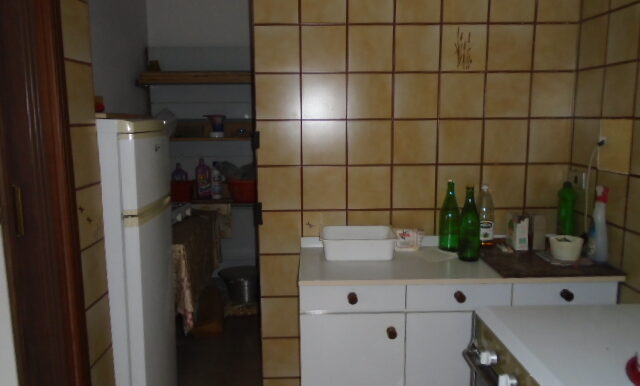 DSC03380